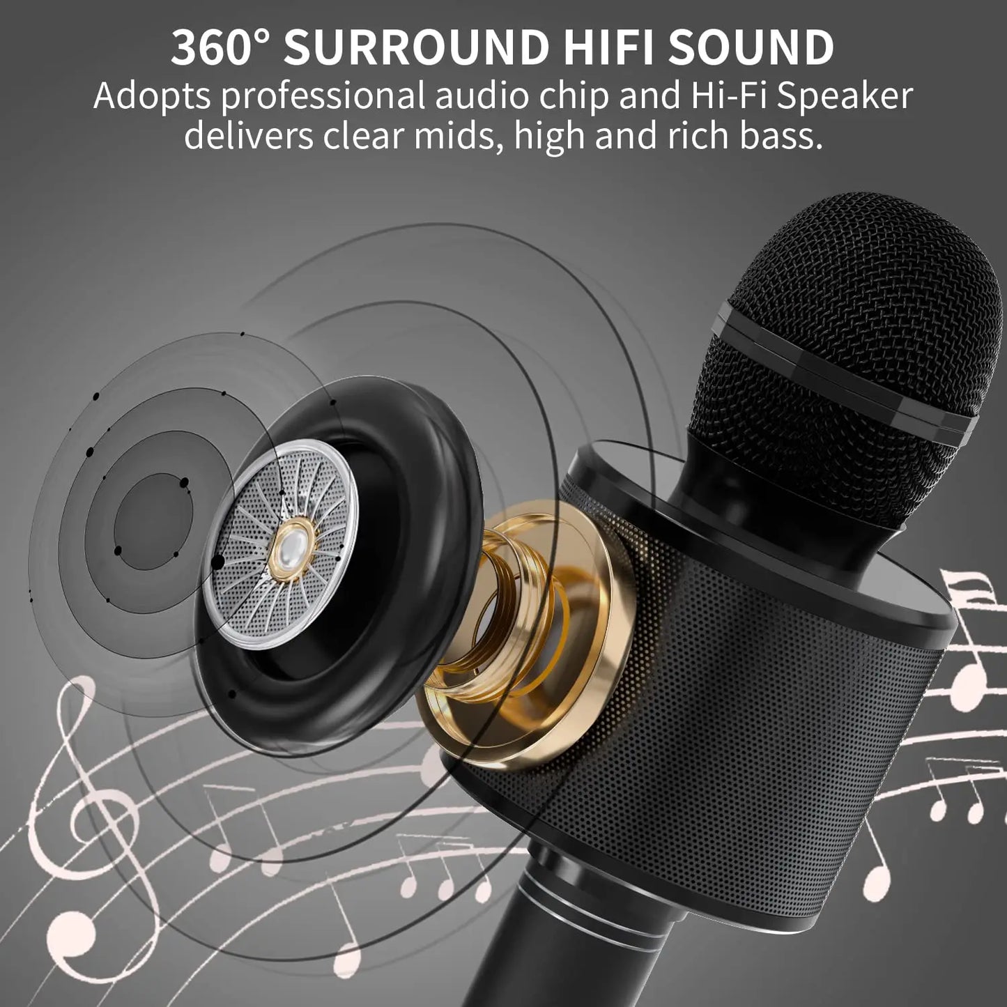 Wireless Karaoke Microphone with Speaker