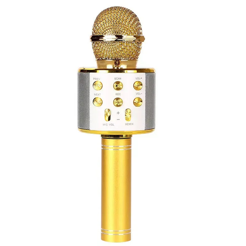 Wireless Karaoke Microphone with Speaker