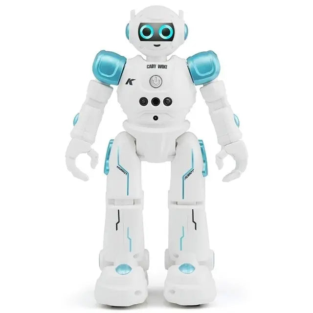 R2/R11 RC Toy Robot
