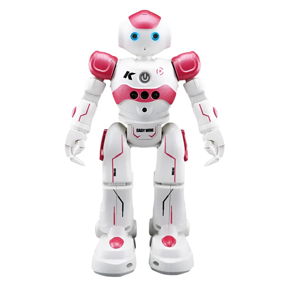 R2/R11 RC Toy Robot