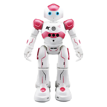 R2/R11 RC Toy Robot