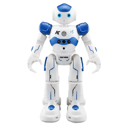 R2/R11 RC Toy Robot