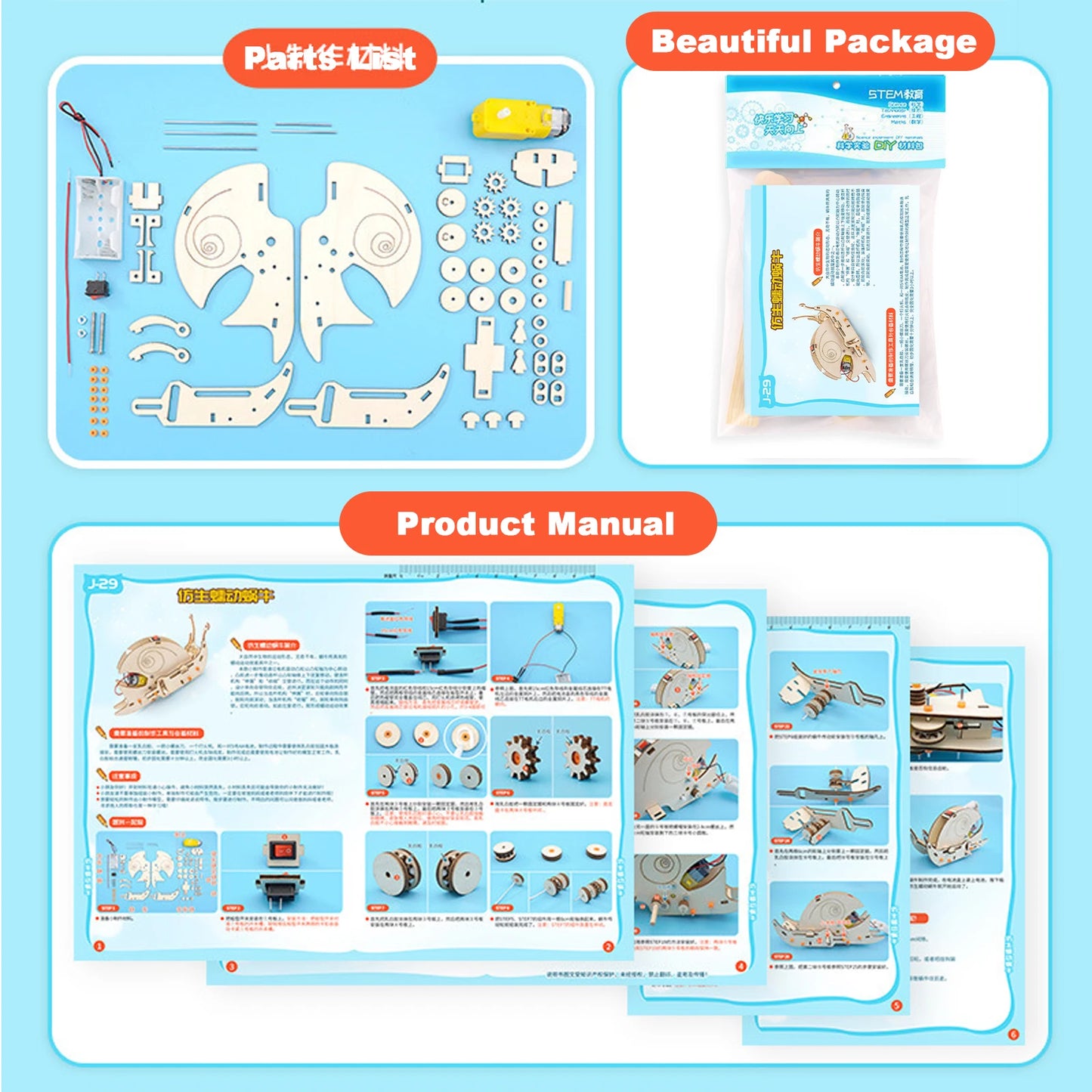 DIY Wooden Snail Robot
