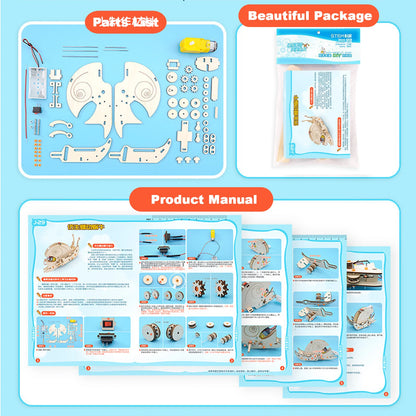 DIY Wooden Snail Robot