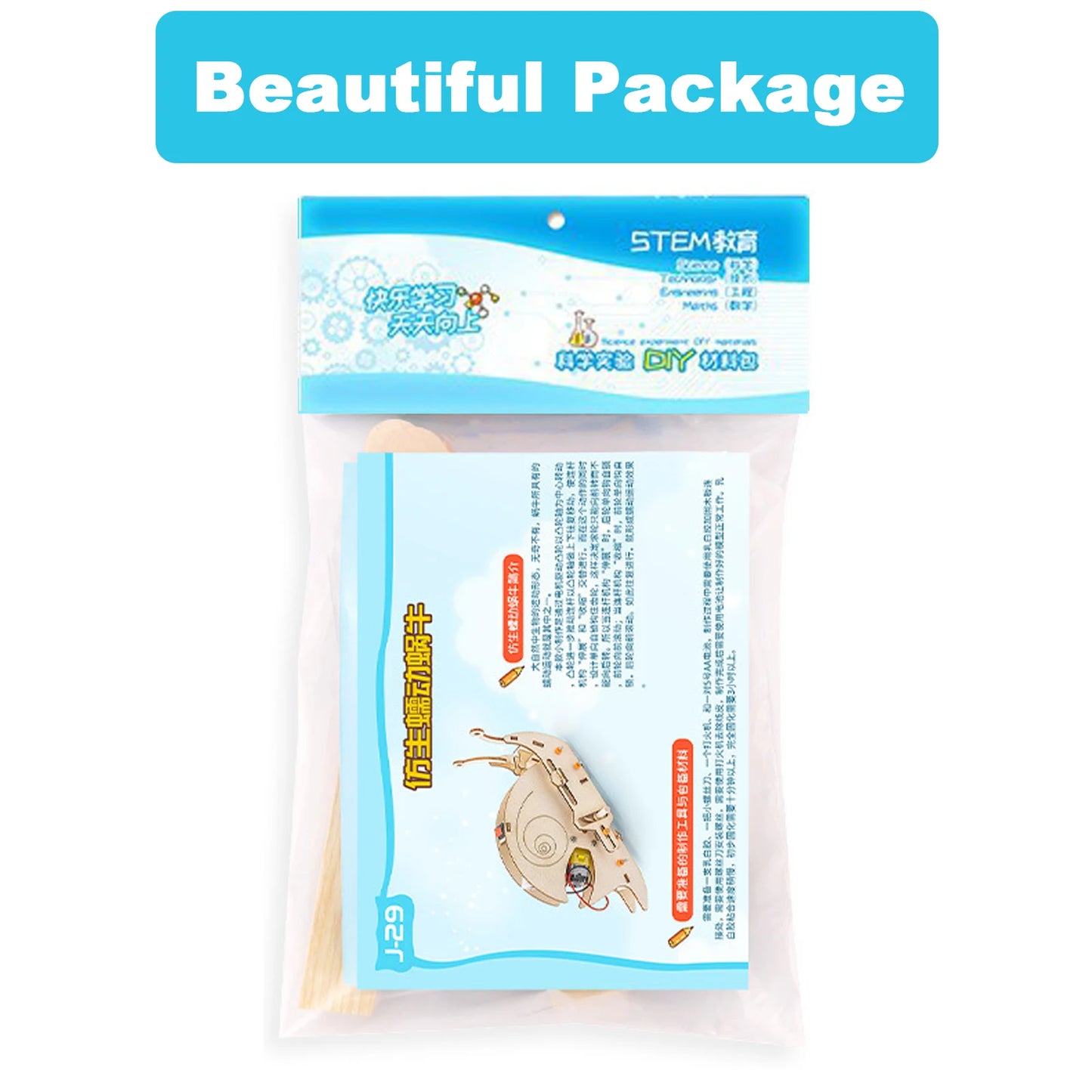 DIY Wooden Snail Robot