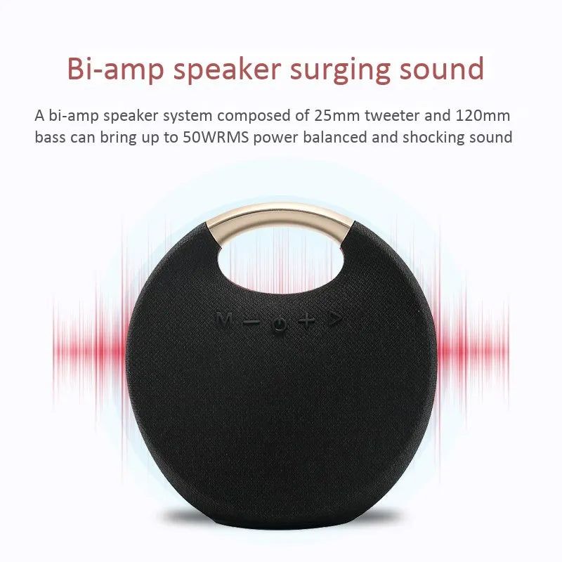 Portable Wireless Speaker