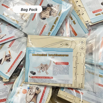 DIY Wooden Hyperbola Model Kit