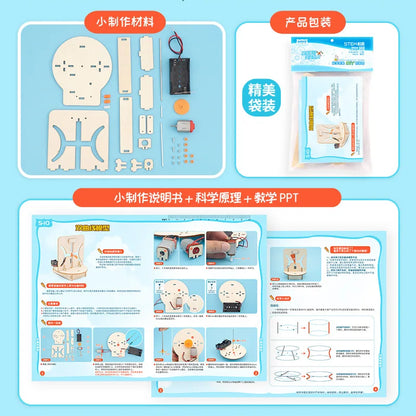 DIY Wooden Hyperbola Model Kit