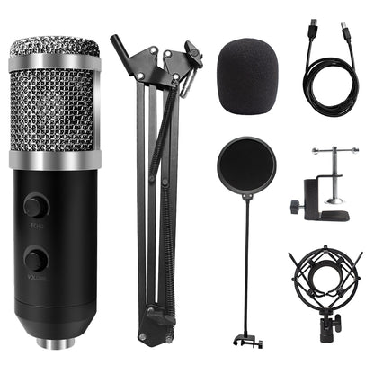 USB Microphone with Arm