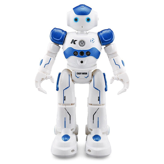 R11 RC Robot Toy